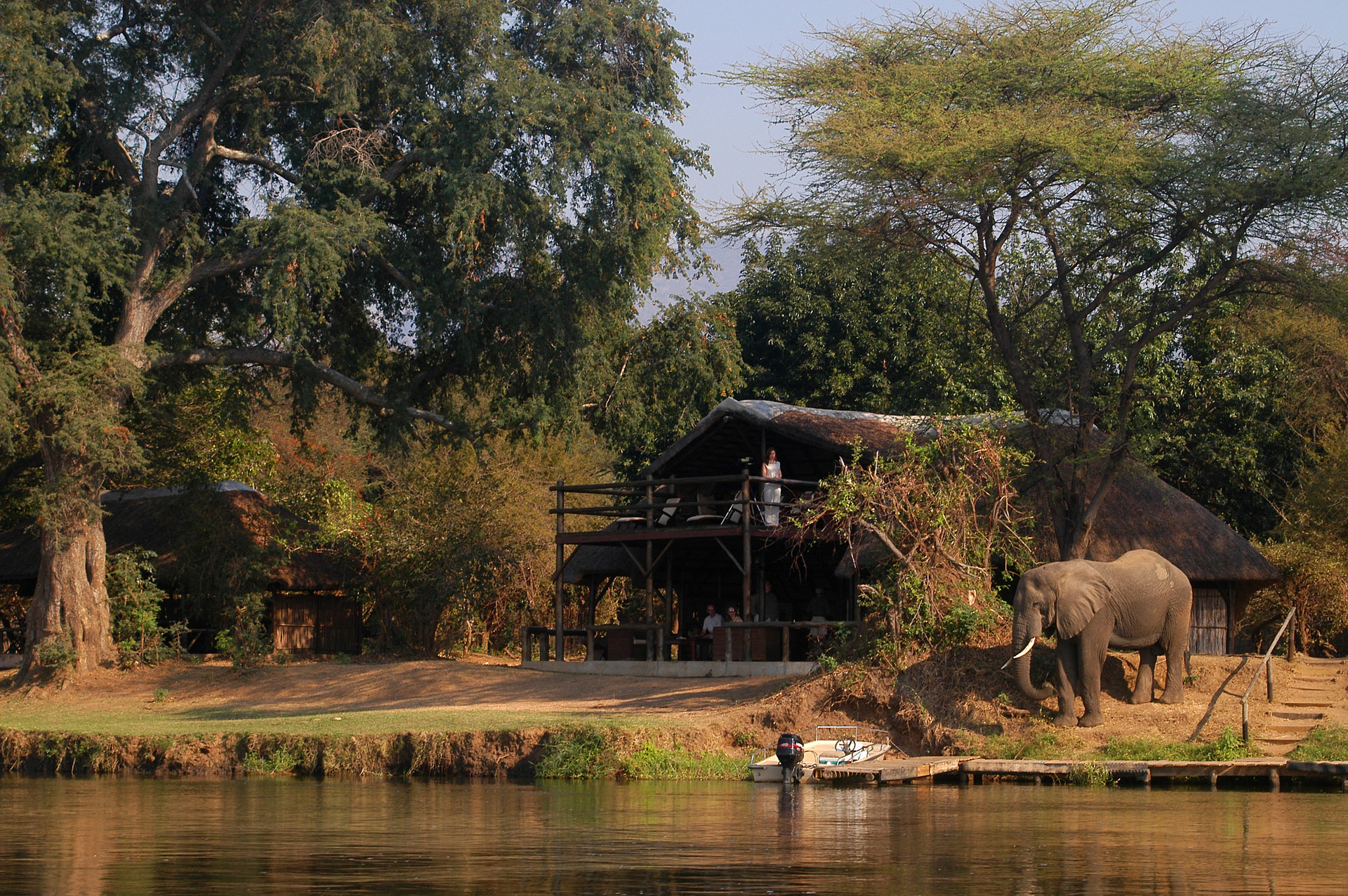 Elefant im Chiawa Camp in Sambia | Abendsonne Afrika
