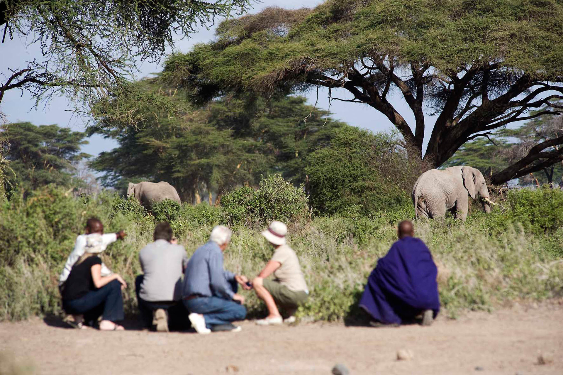 Wildbeobachtung im Kambi ya Tembo Camp in Tansania | Abendsonne Afrika