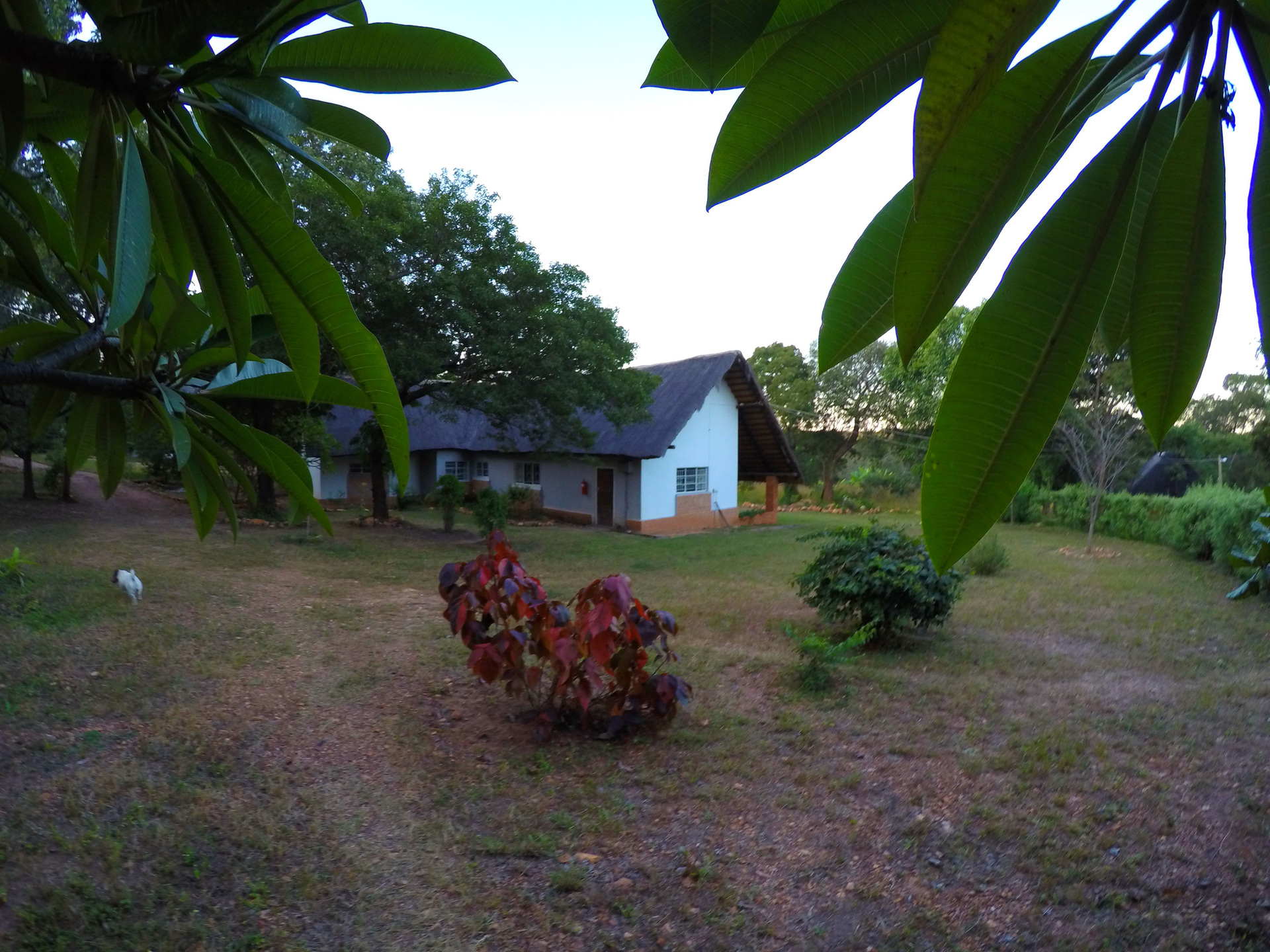 Gartenanlage des Pioneer Camps in Sambia | Abendsonne Afrika