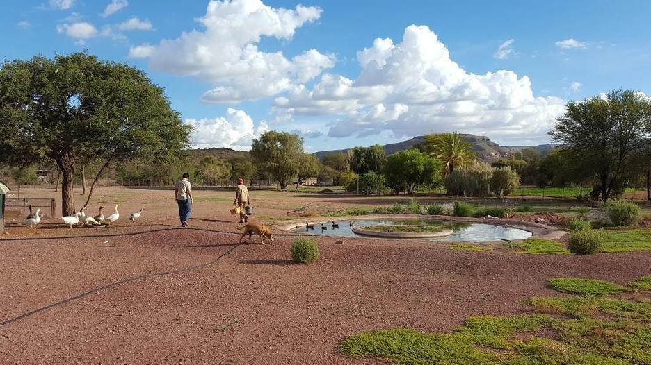 Farmleben auf der Zaris Ranch & Restcamp in Namibia | Abendsonne Afrika