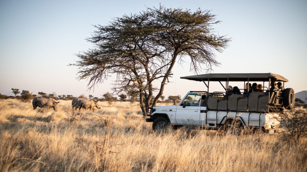 Nashorntracking in Namibia | Abendsonne Afrika 