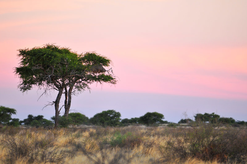 Kalaharilandschaft Wanderreise