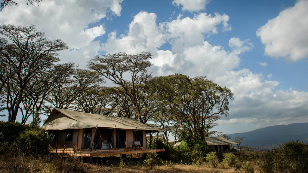 Entamanu Ngorongoro Tansania I Abendsonne Afrika