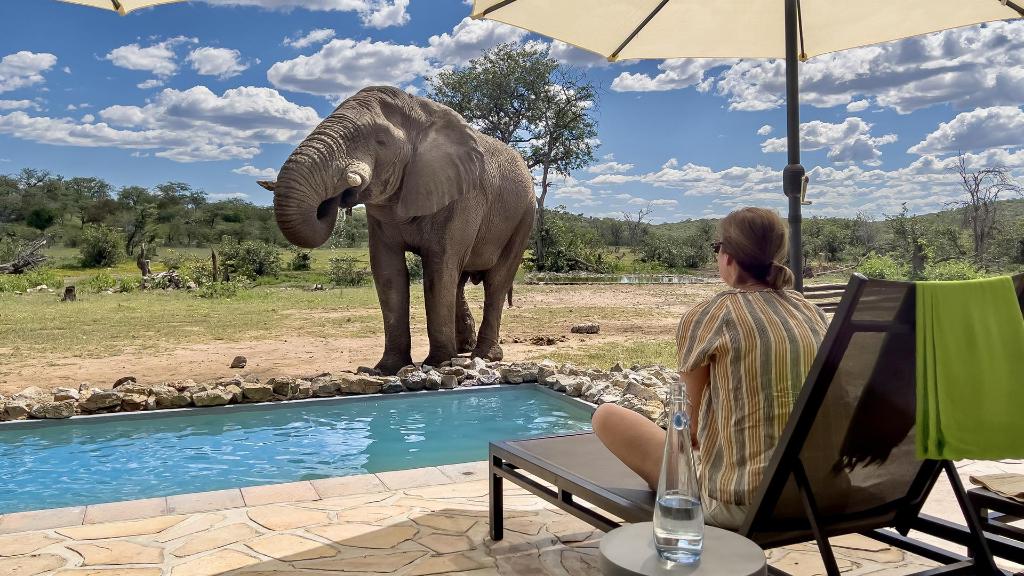 Elefant im Ongava Tented Camp in Namibia | Abendsonne Afrika