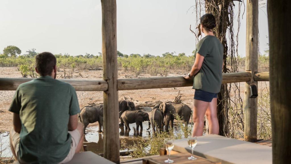 Ausblick in der Savute Safari Lodge in Botswana | Abendsonne Afrika