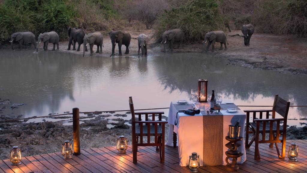 Dinner mit Elefanten im Kanga Camp in Simbabwe | Abendsonne Afrika 