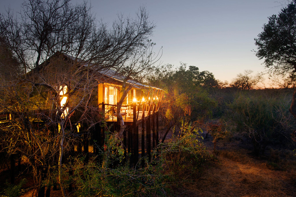 Landschaft um das Kapama Buffalo Camp in Südafrika | Abendsonne Afrika