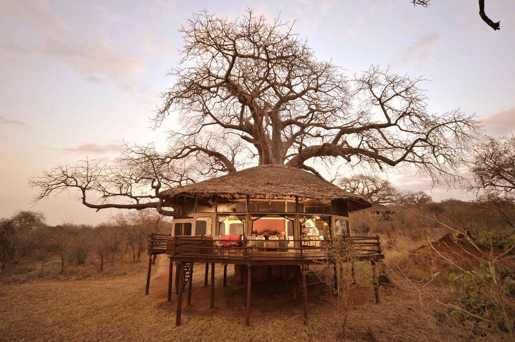 Baumhaus der Tarangire Treetops Lodge in Tansania | Abendsonne Afrika