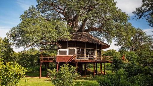 Tarangire Treetops Lodge | Abendsonne Afrika