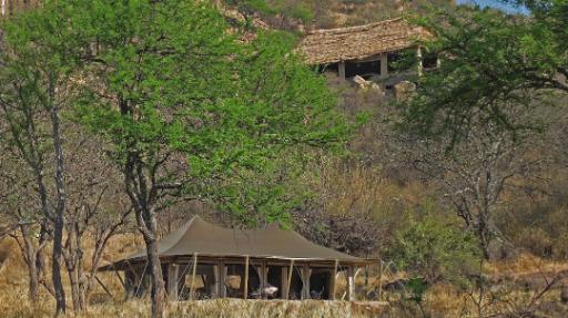 Serengeti Pioneer Camp | Abendsonne Afrika