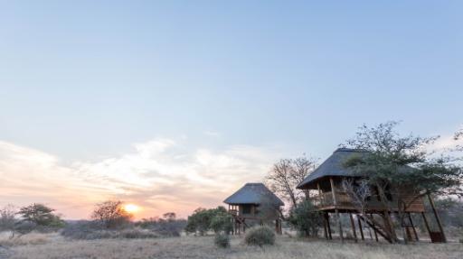 nThambo Tree Camp | Abendsonne Afrika