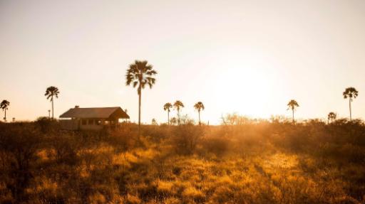 Camp Kalahari | Abendsonne Afrika