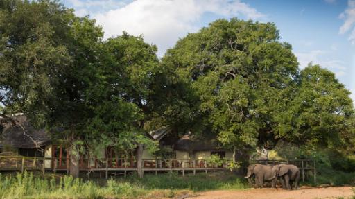 Tintswalo Safari Lodge | Abendsonne Afrika