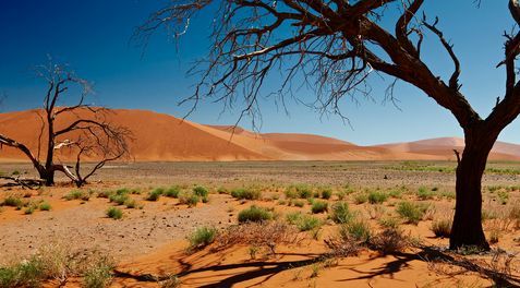 Namibia bis Viktoria Fälle | Abendsonne Afrika