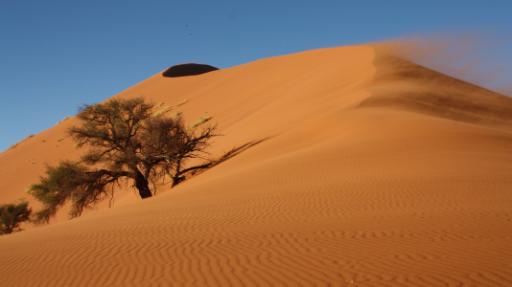 Namibias Bilderbuch | Abendsonne Afrika