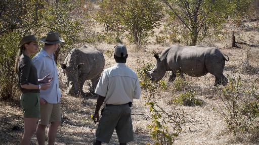 Nashörner im Matobo Nationalpark, Simbabwe