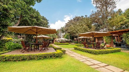 Arusha Coffee Lodge | Abendsonne Afrika