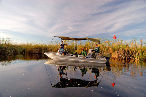 Camp Okavango | Abendsonne Afrika