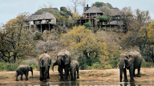 Elefanten bei der Leopard Hills Lodge in Südafrika | Abendsonne Afrika 