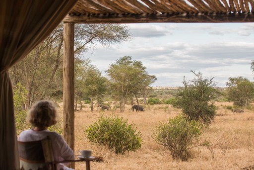 Kuro Camp | Abendsonne Afrika