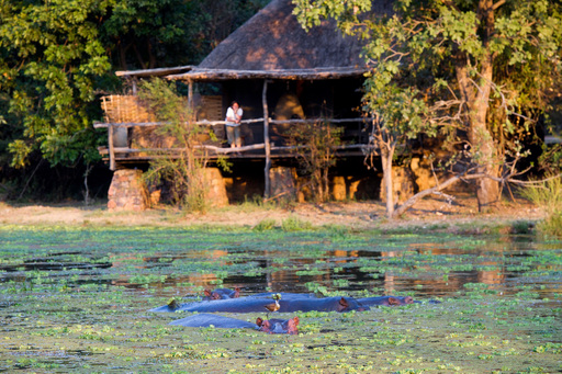 Mfuwe Lodge | Abendsonne Afrika