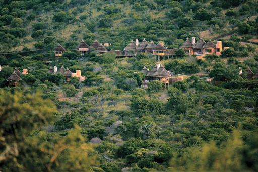 Thanda Private Game Reserve | Abendsonne Afrika