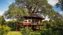 Baumhaus der Tarangire Treetops Lodge in Tansania | Abendsonne Afrika