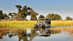 Moremi Game Reserve Botswana Informationen Reisen Abendsonne Afrika