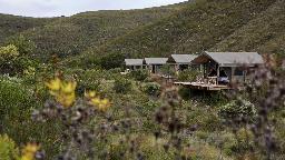 Zelte im Conservation Tented Eco Camp in Südafrika | Abendsonne Afrika