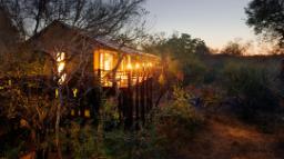 Landschaft um das Kapama Buffalo Camp in Südafrika | Abendsonne Afrika