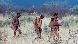 Bushmänner in der Kalahari in Botswana | Abendsonne Afrika