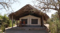 Zelt von außen im Tindiga Tented Camp in Tansania | Abendsonne Afrika