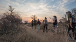 Walking Safari des Africa On Foot in Südafrika | Abendsonne Afrika