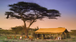 Lagerfeuer und Essbereich des Serengeti Under Canvas in Tansania | Abendsonne Afrika