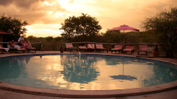 Pool im Etosha Safari Camp in Namibia | Abendsonne Afrika