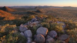Tswalu Kalahari Game Reserve, Südafrika | Abendsonne Afrika
