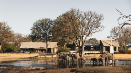 Linkwasha Camp in Simbabwe | Abendsonne Afrika