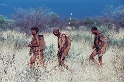Buschmänner in der Central Kalahari in Botswana | Abendsonne Afrika