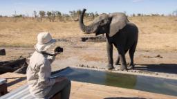 Wildbeobachtung mit Elefant im Somalisa Expeditions in Simbabwe | Abendsonne Afrika 