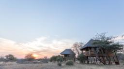 Zelte des nThambo Tree Camps in Südafrika | Abendsonne Afrika
