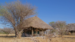 Zelt des Whistling Thorn Camp in Tansania | Abendsonne Afrika