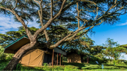 Angata Migration Ndutu Camp, Serengeti Nationalpark, Tansania | Abendsonne Afrika