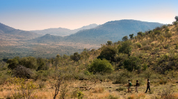 HEADER Baustein privat geführte Reise Südafrika - Kruger, Mapungubwe, Pilanesberg | Abendsonne Afrika