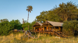 Mokolwane, Okavango Delta, Botswana | Abendsonne Afrika