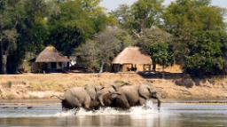 HEADER Nsefu Camp in Sambia | Abendsonne Afrika