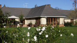 Blick auf das Elgin Guesthouse in Südafrika | Abendsonne Afrika