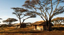 Zelte des Mara Under Canvas Tented Camp in Tansania | Abendsonne Afrika 