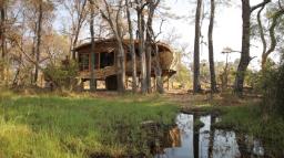 Sandibe Okavango Safari Lodge im Okavango Delta in Botswana | Abendsonne Afrika