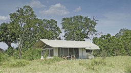 Natur beim Porini Lion Camp in Kenia | Abendsonne Afrika