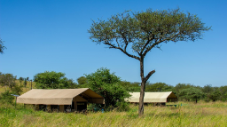 Ndutu Kati Kati Tented Camp in Tansania | Abendsonne Afrika